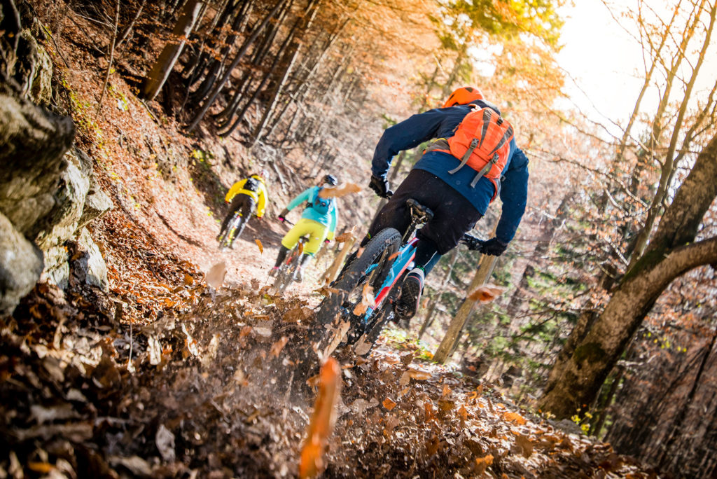 Three mountain bikers on forest trail